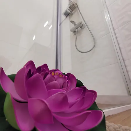 Appartement Locazione La Scacchiera à Padoue Extérieur photo