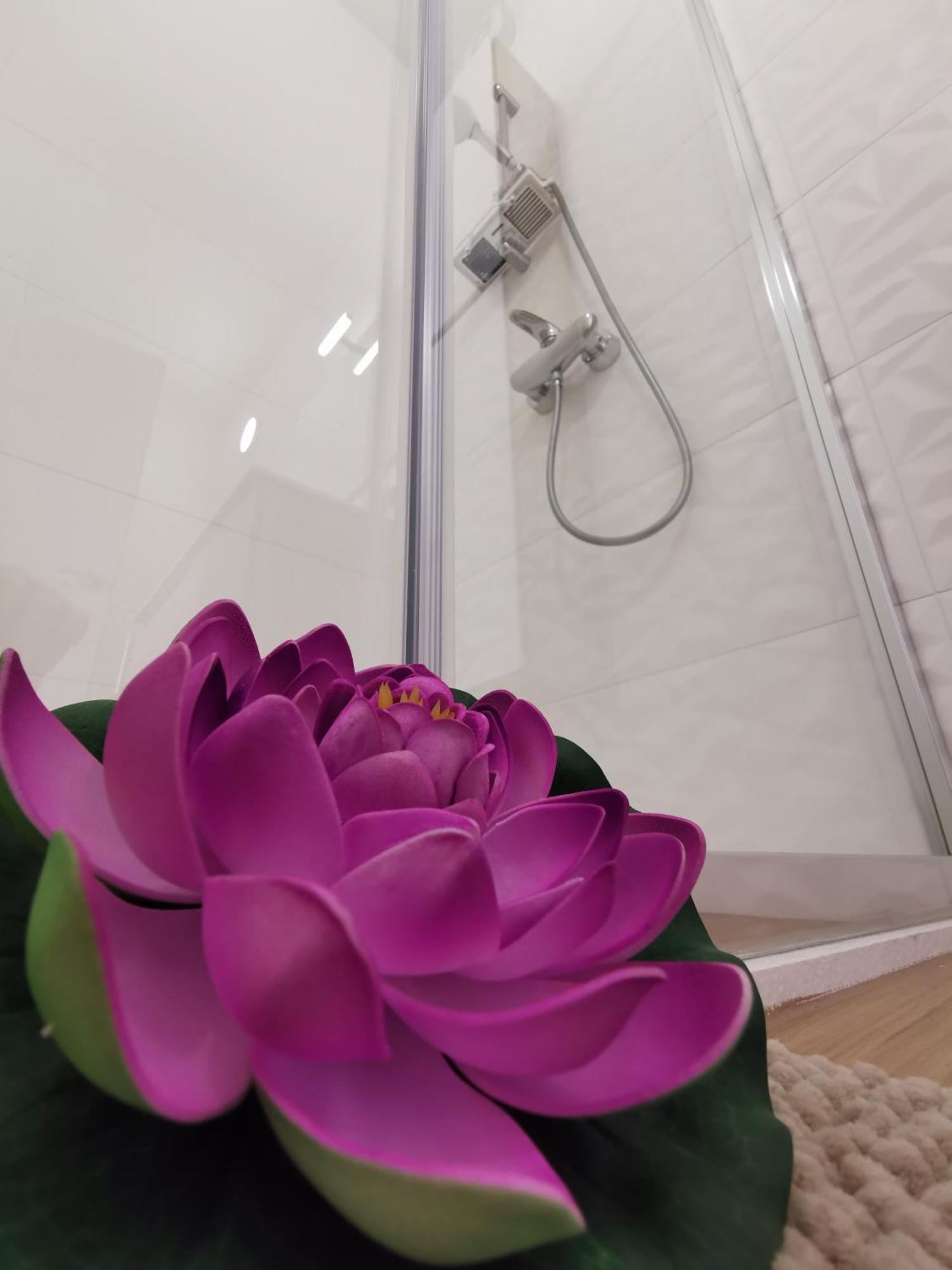 Locazione La Scacchiera Appartement
